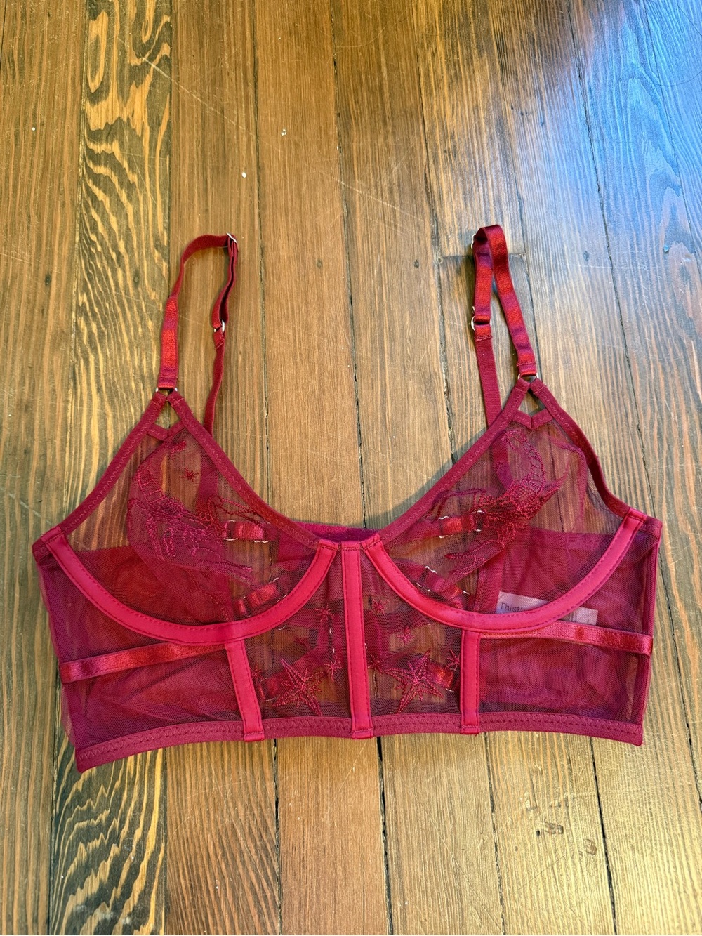 Thistle and Spire Scorpio Bra in Ruby
